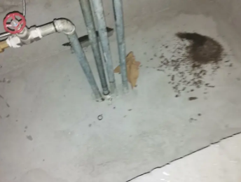 西安卫生间测漏水价格明细